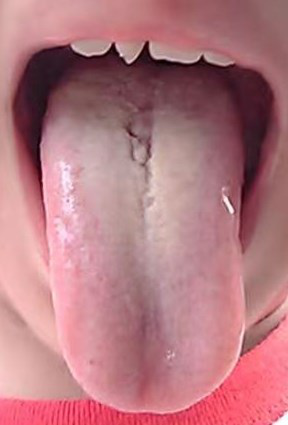 微信图片_20210710091558.png