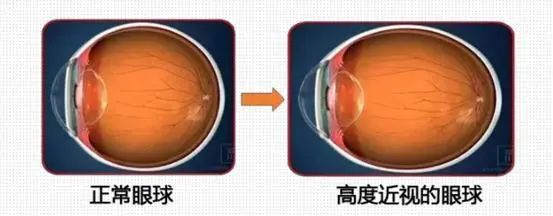 图片 4.png