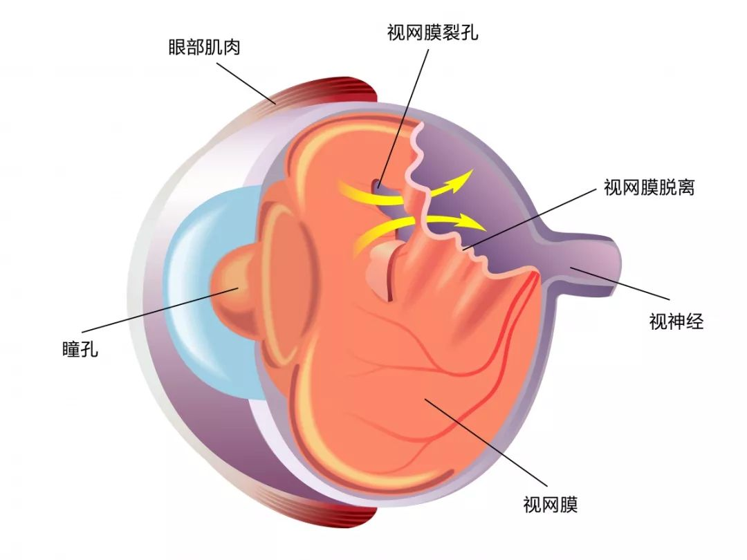 图片 6.png